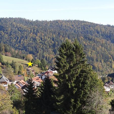 Apartments Amalia - Mit Wlan Und Sky In Traumhafter Lage Todtmoos Exteriér fotografie