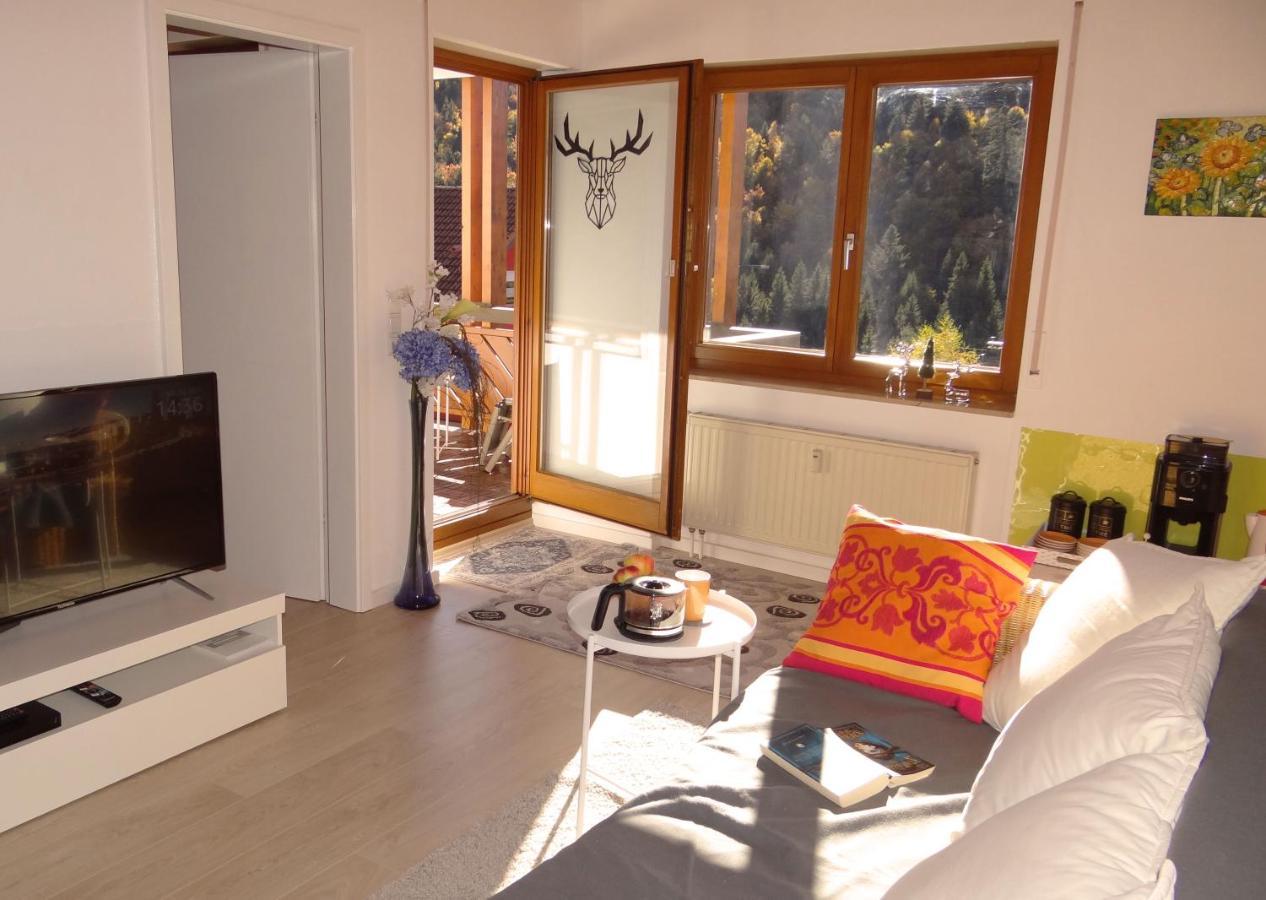 Apartments Amalia - Mit Wlan Und Sky In Traumhafter Lage Todtmoos Pokoj fotografie