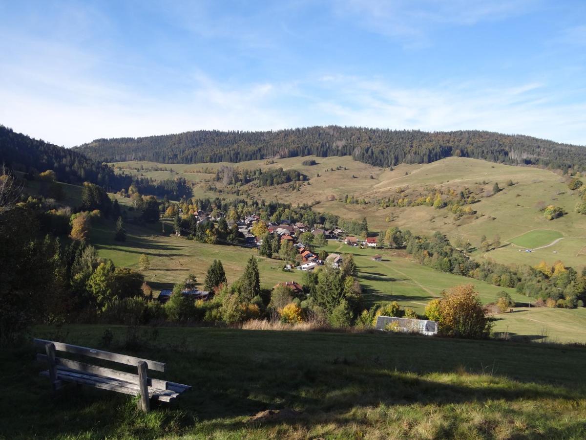 Apartments Amalia - Mit Wlan Und Sky In Traumhafter Lage Todtmoos Exteriér fotografie