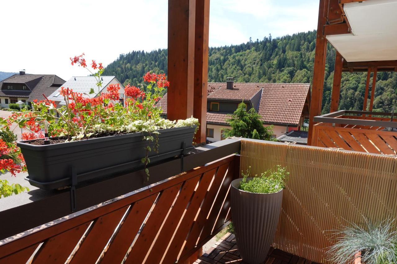 Apartments Amalia - Mit Wlan Und Sky In Traumhafter Lage Todtmoos Exteriér fotografie