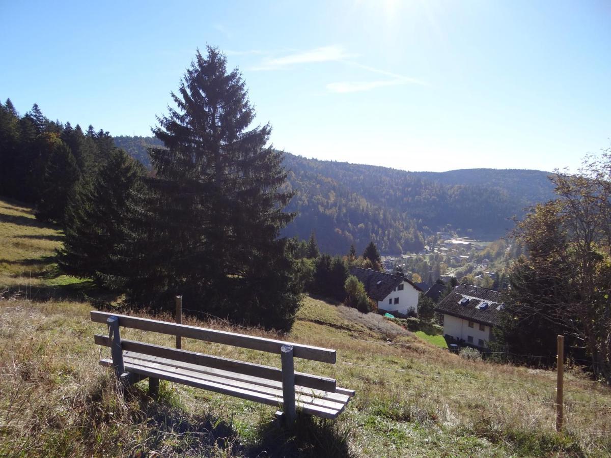 Apartments Amalia - Mit Wlan Und Sky In Traumhafter Lage Todtmoos Exteriér fotografie